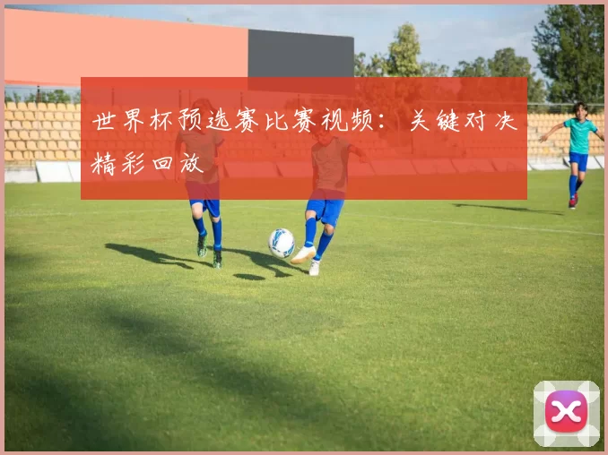 世界杯预选赛比赛视频:关键对决精彩回放