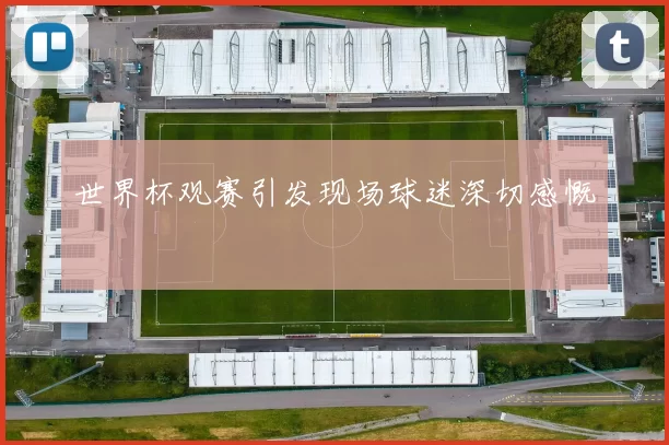 世界杯观赛引发现场球迷深切感慨