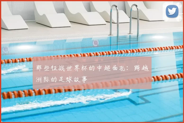 那些征战世界杯的中超面孔:跨越洲际的足球故事