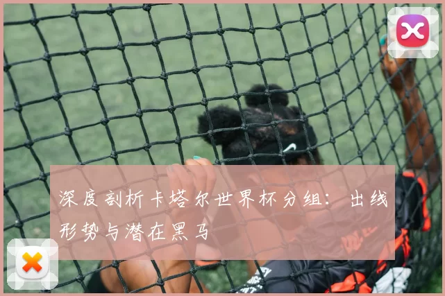 深度剖析卡塔尔世界杯分组：出线形势与潜在黑马