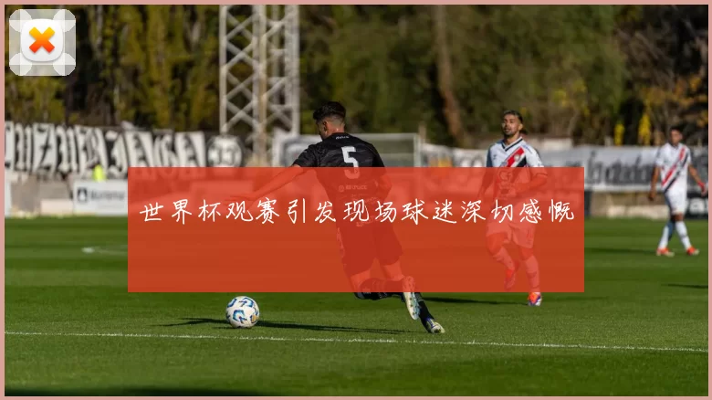 世界杯观赛引发现场球迷深切感慨