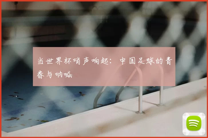 当世界杯哨声响起:中国足球的青春与呐喊