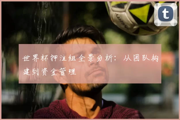 世界杯押注组全景分析:从团队构建到资金管理