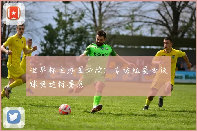 世界杯主办国必读:专访组委会谈球场达标要点