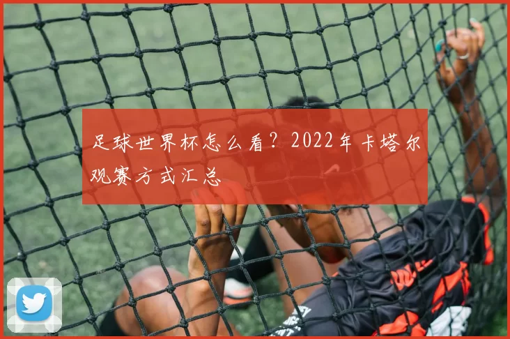 足球世界杯怎么看?2022年卡塔尔观赛方式汇总