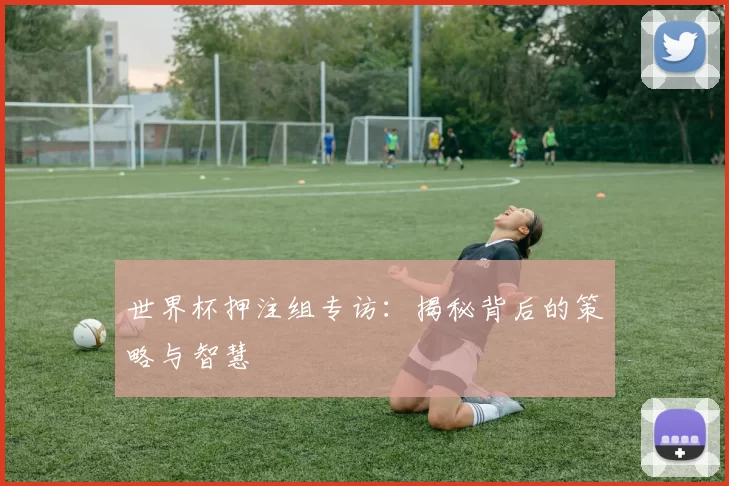 世界杯押注组专访:揭秘背后的策略与智慧